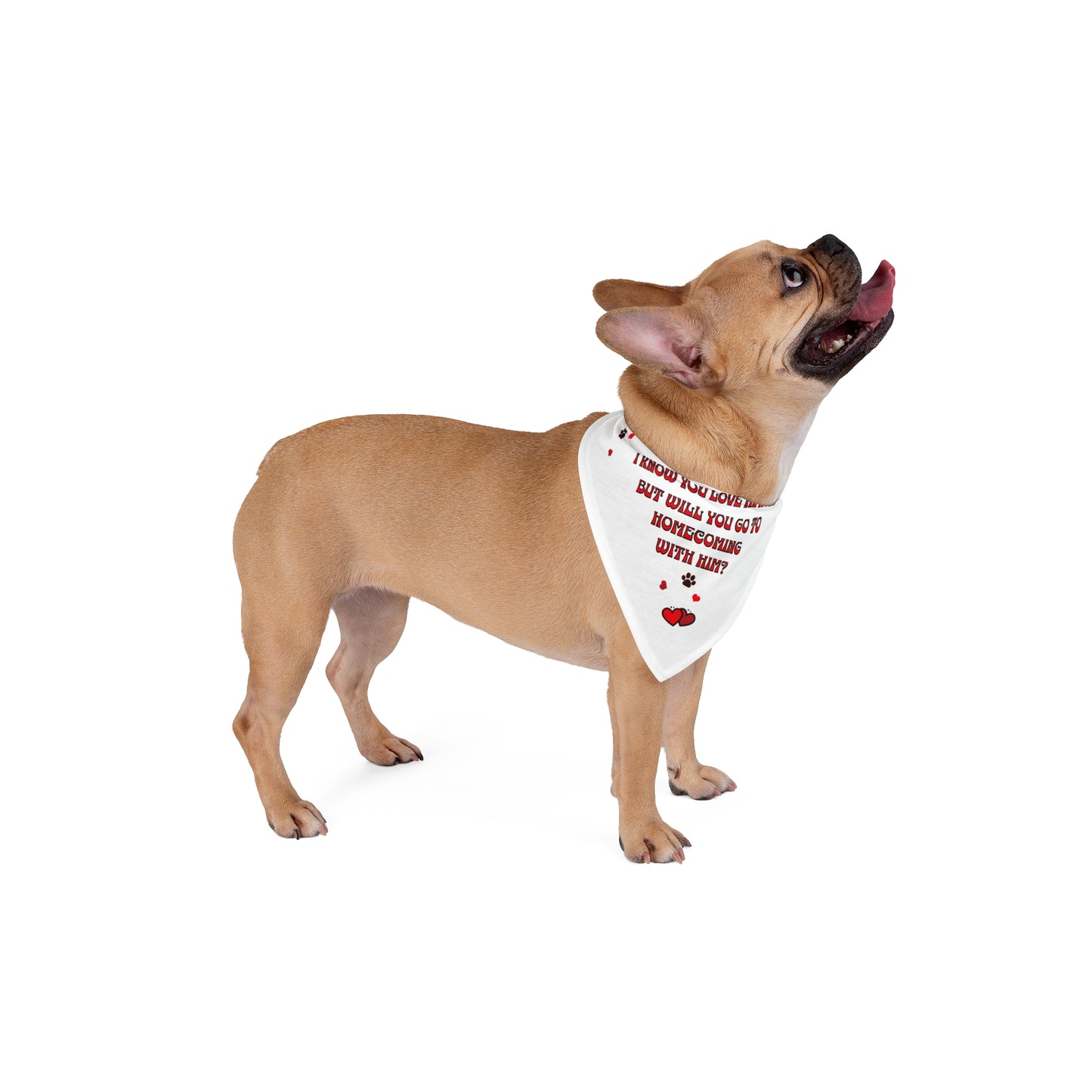 Homecoming with him? Pet Bandana