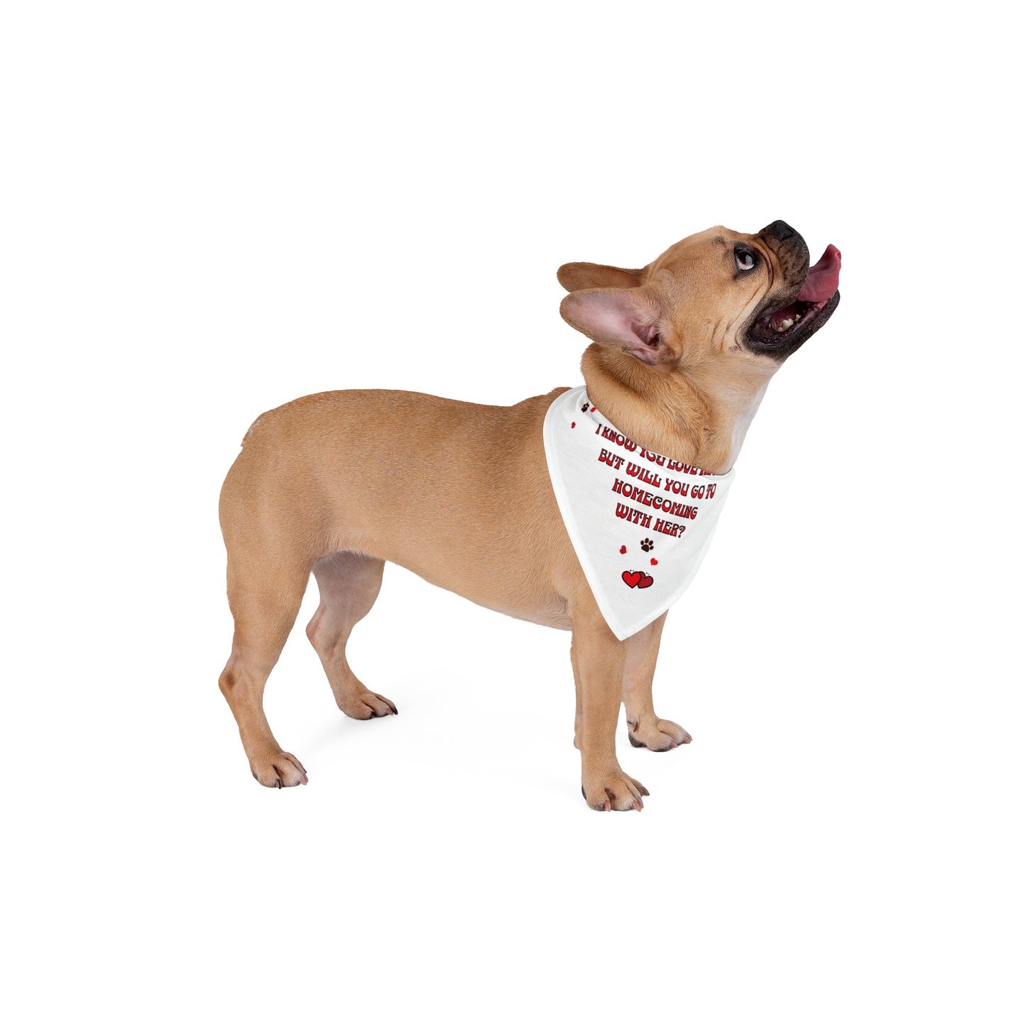 Homecoming with her? Pet Bandana