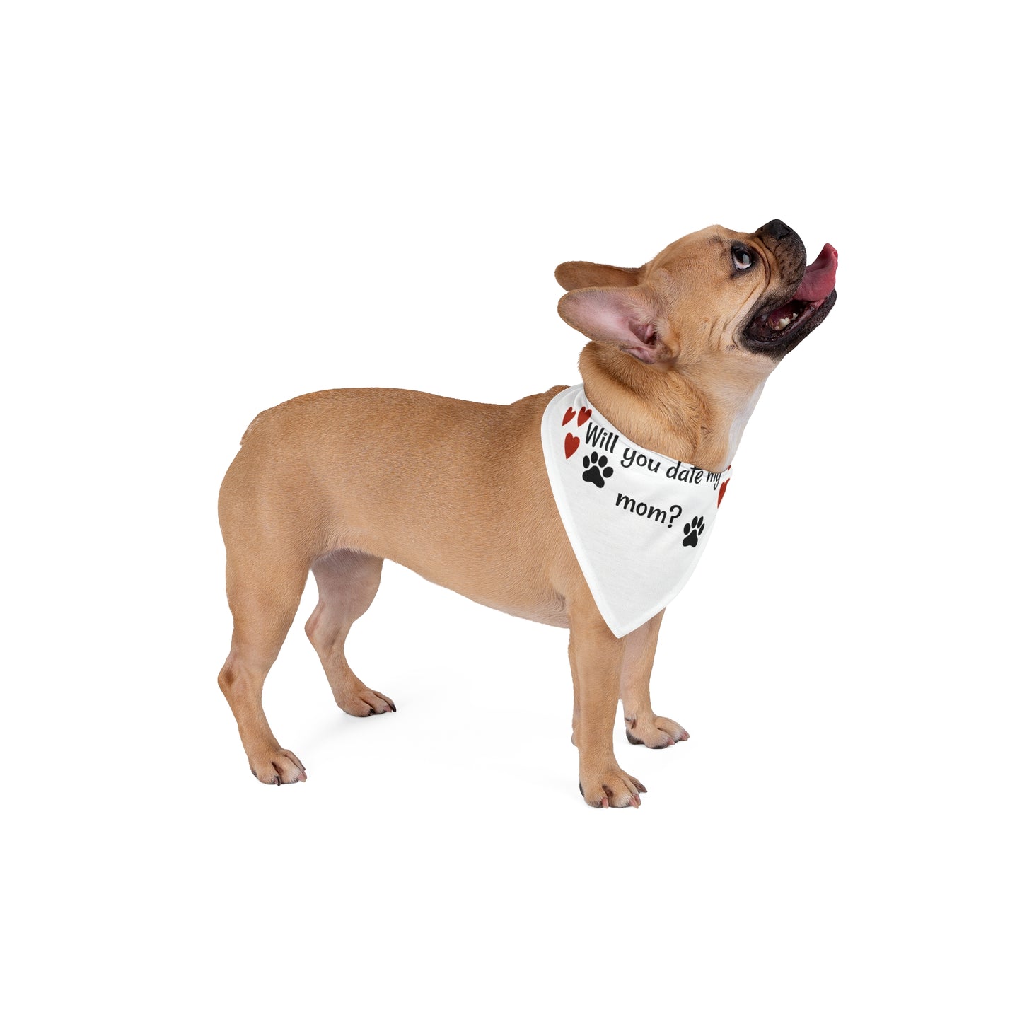 Will you date my mom? Pet Bandana