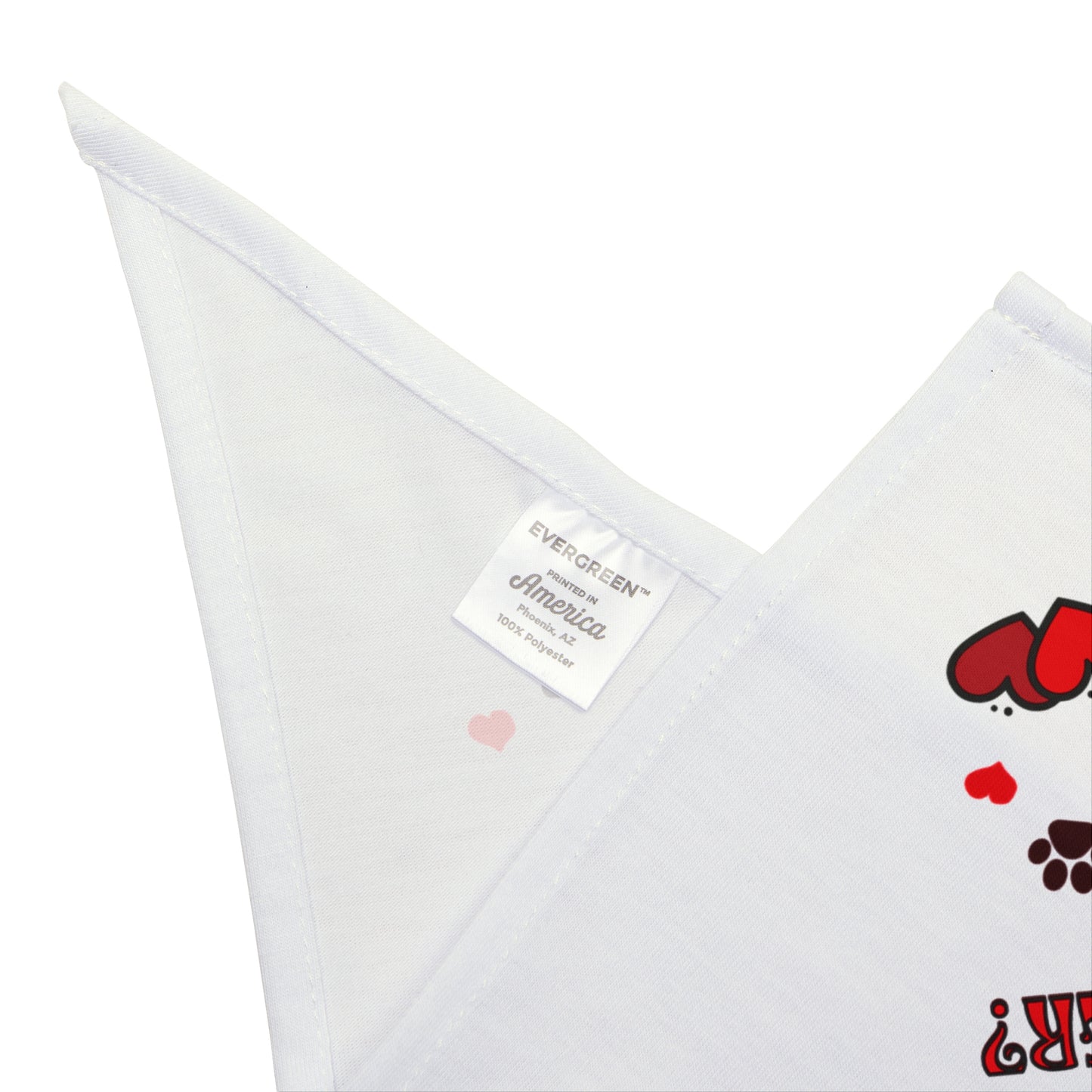 Will you marry her? Pet Bandana