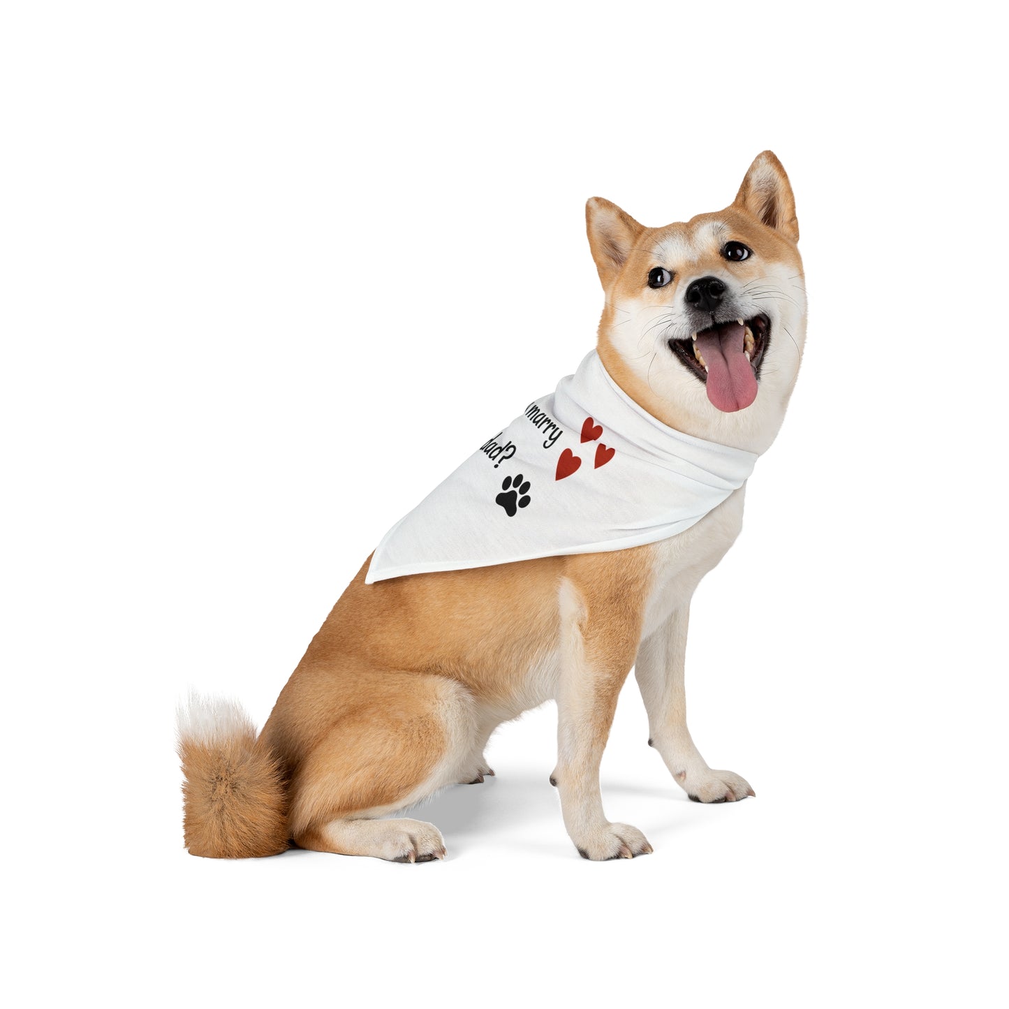 Will you marry my dad? Pet Bandana